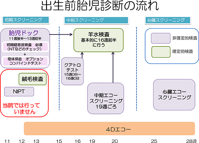 出生前診断の種類