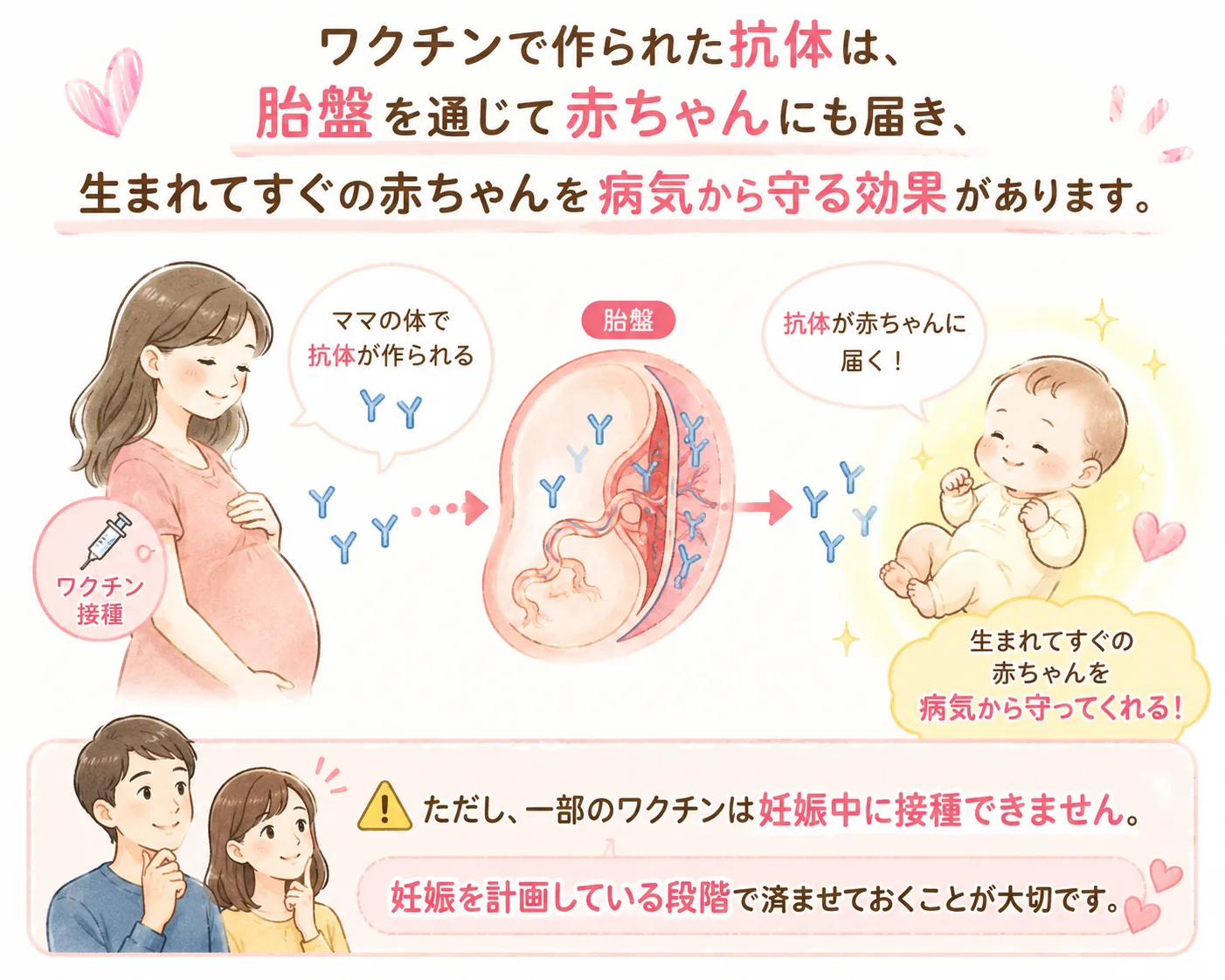 ワクチンで作られた抗体が胎盤を通じて赤ちゃんに届き、生まれてすぐの赤ちゃんを病気から守るしくみの解説イラスト
