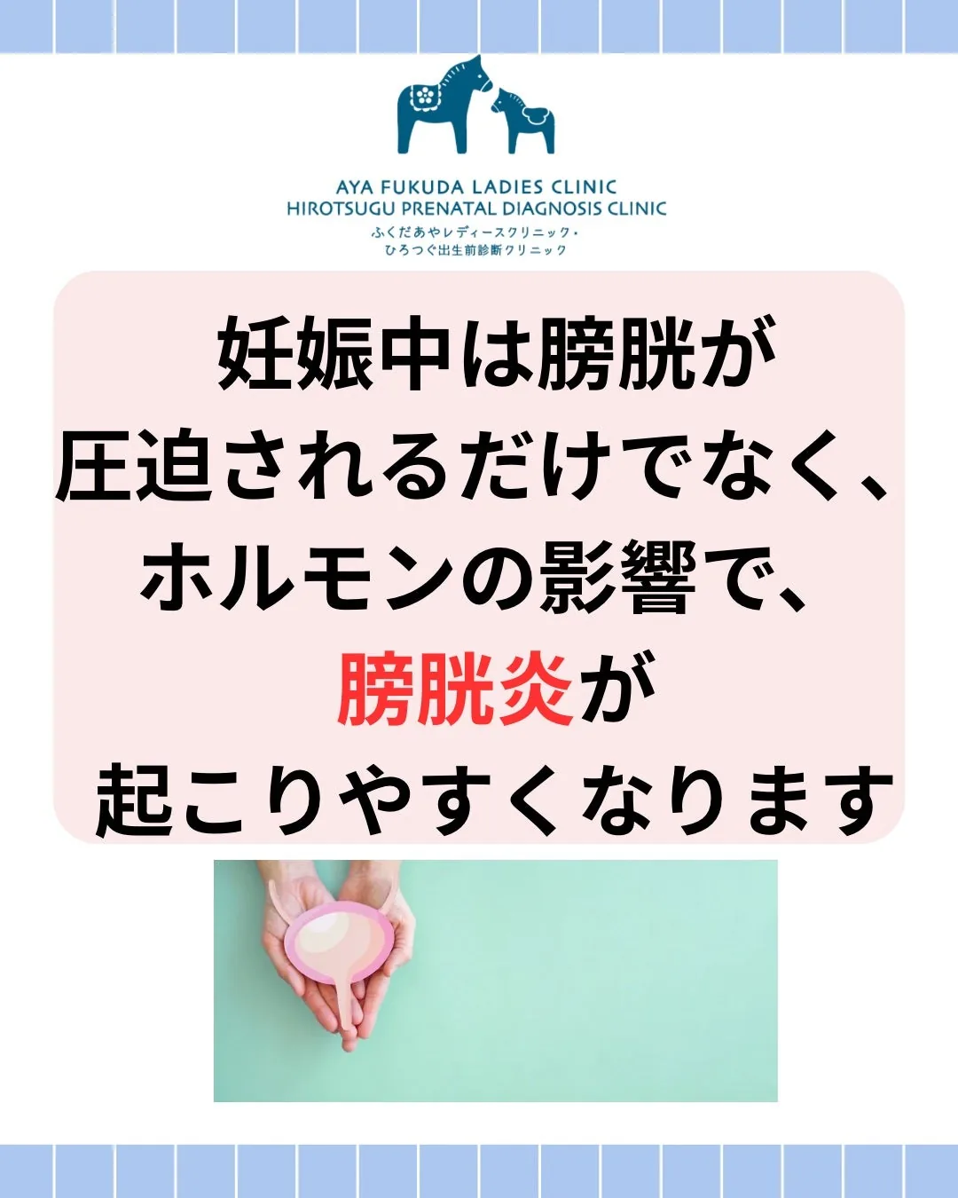 妊娠中は膀胱が圧迫されるだけでなくホルモンの影響で膀胱炎が起こりやすくなることを示す解説画像