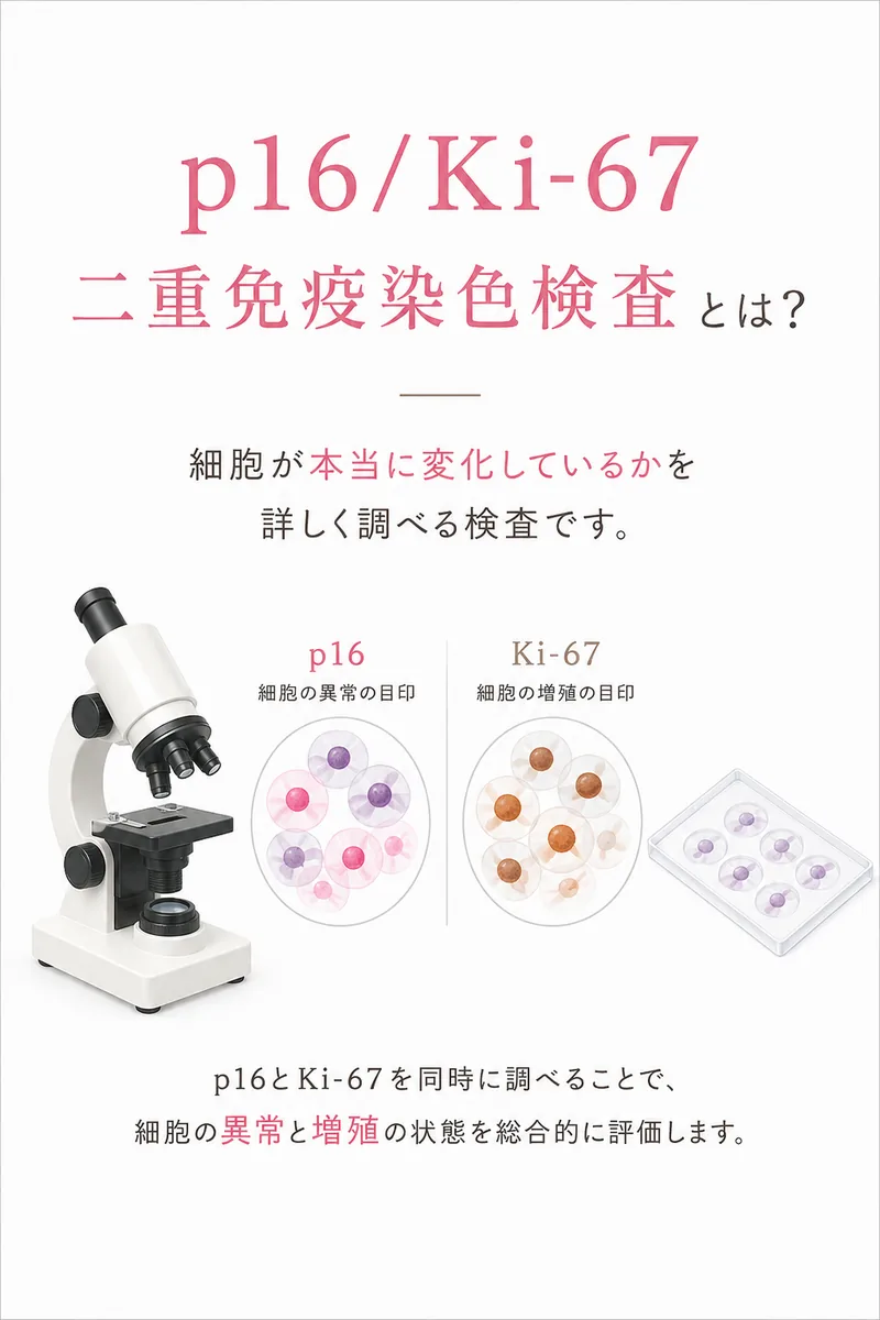 p16/Ki-67二重免疫染色検査とは？ — 細胞が本当に変化しているかを詳しく調べる検査です。p16（細胞の異常の目印）とKi-67（細胞の増殖の目印）を同時に調べることで、細胞の異常と増殖の状態を総合的に評価します。