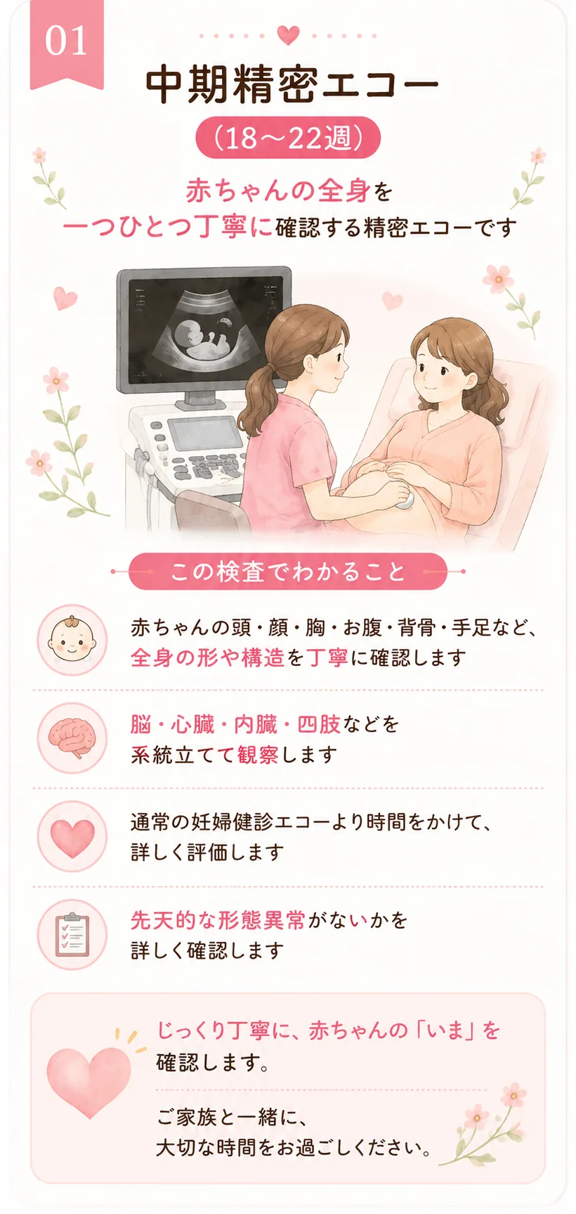 01 中期精密エコー（18〜22週）— 赤ちゃんの全身を一つひとつ丁寧に確認する精密エコーです。頭・顔・胸・お腹・背骨・手足など全身の形や構造を確認し、脳・心臓・内臓・四肢を系統立てて観察。通常の妊婦健診エコーより時間をかけて、先天的な形態異常がないか詳しく確認します。