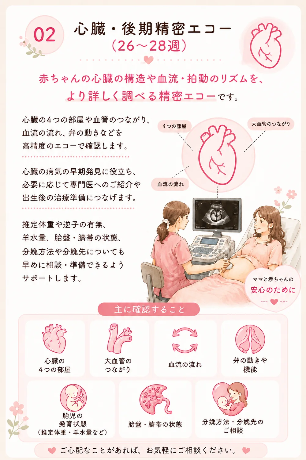 02 心臓・後期精密エコー（26〜28週）— 赤ちゃんの心臓の構造や血流・拍動のリズムをより詳しく調べる精密エコーです。心臓の4つの部屋・大血管のつながり・血流・弁の動きを確認し、先天性心疾患の早期発見を目指します。推定体重や逆子の有無、胎盤・臍帯の状態、分娩方法・分娩先の相談までサポートします。