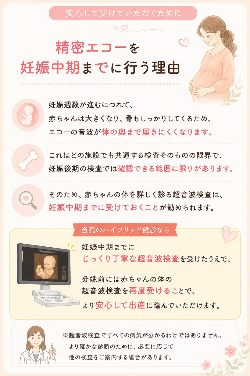 精密エコーを妊娠中期までに行う理由 — 妊娠週数が進むと赤ちゃんは大きくなり骨もしっかりしてくるため、エコーの音波が体の奥まで届きにくくなります。これはどの施設でも共通する検査そのものの限界で、妊娠後期の検査では確認できる範囲に限りがあります。そのため、赤ちゃんの体を詳しく診る超音波検査は妊娠中期までに受けておくことが勧められます。当院のハイブリッド健診なら、分娩前に赤ちゃんの体の超音波検査を再度受けたうえで出産に臨んでいただけます。