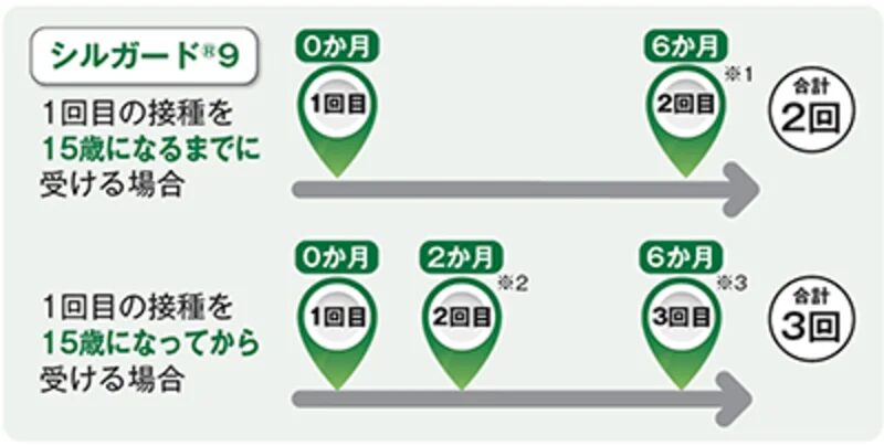シルガード9 の接種スケジュール図。15歳未満は2回、5か月以上あける。15歳以上は3回、初回・2か月後・6か月後。